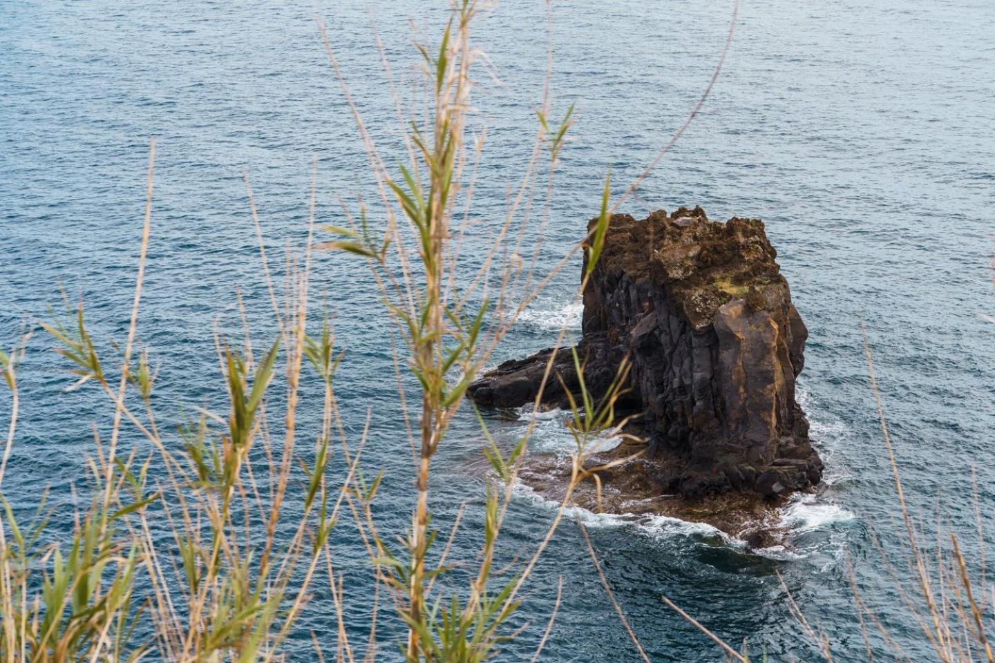 Sunny Getaway In Funchal Appartement Buitenkant foto
